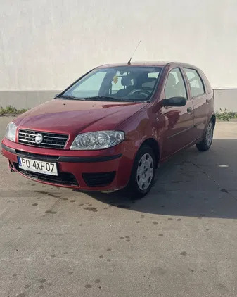 fiat punto opolskie Fiat Punto cena 5900 przebieg: 230000, rok produkcji 2005 z Poznań